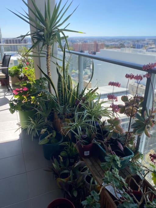 In The City Perth 1B1B Pool And Nice View Extérieur photo